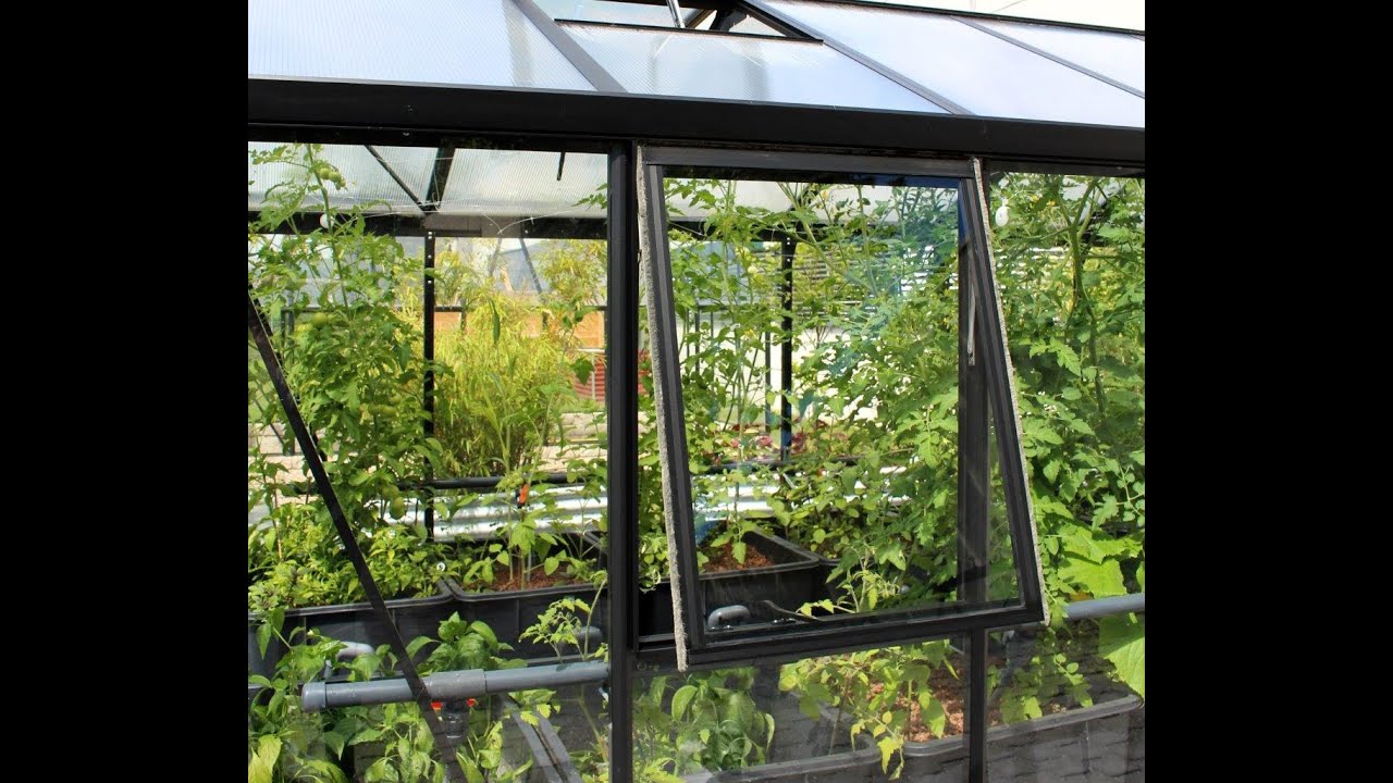 Vitavia Seitenfenster "Z" mit oder ohne Verglasung für Zeus