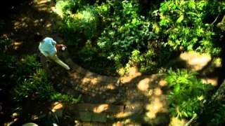 Husqvarna Akku-Blasgerät 525iB Mark II