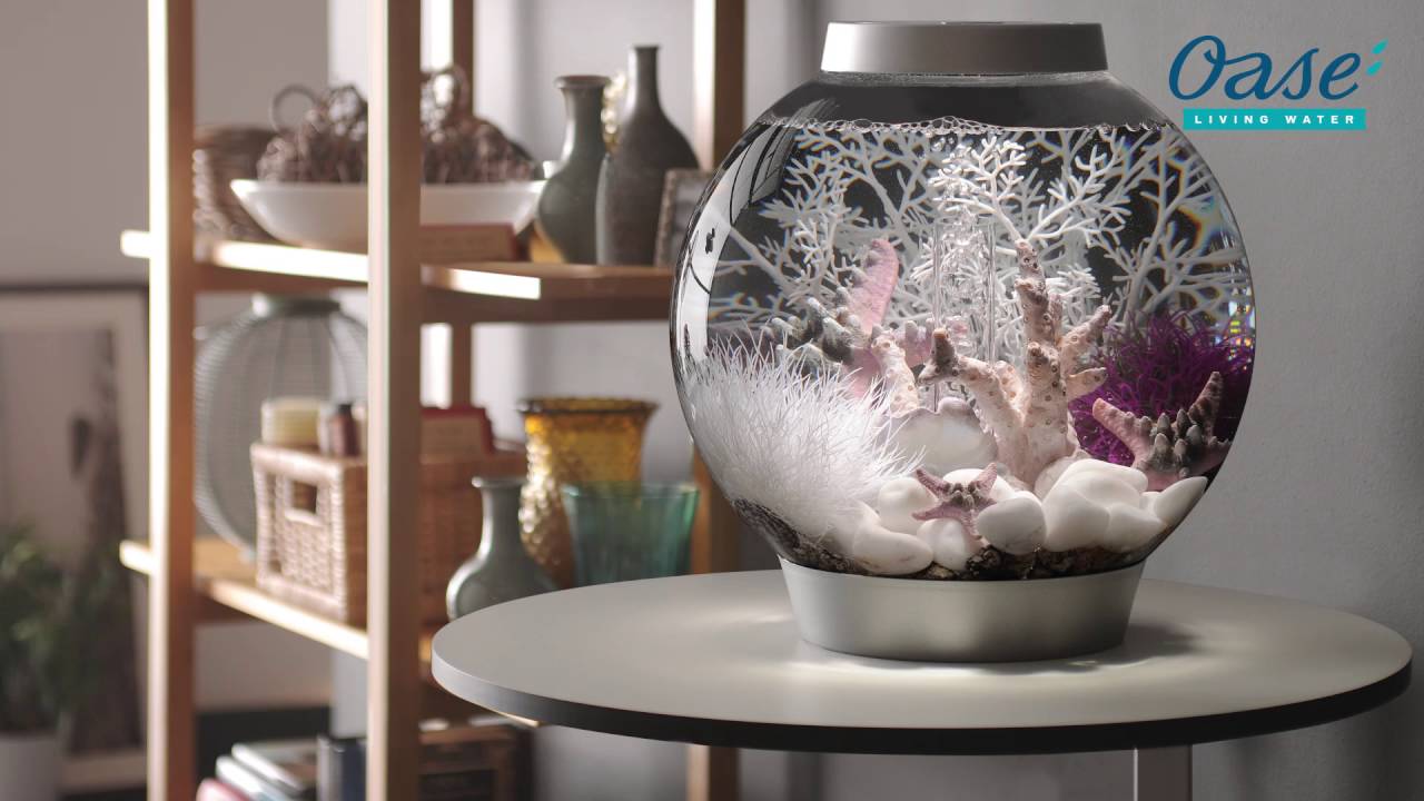 biOrb Seestern Set 3 natural