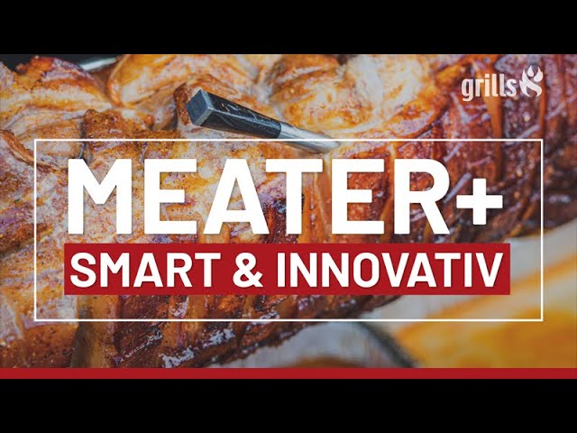 MEATER Plus neue Version