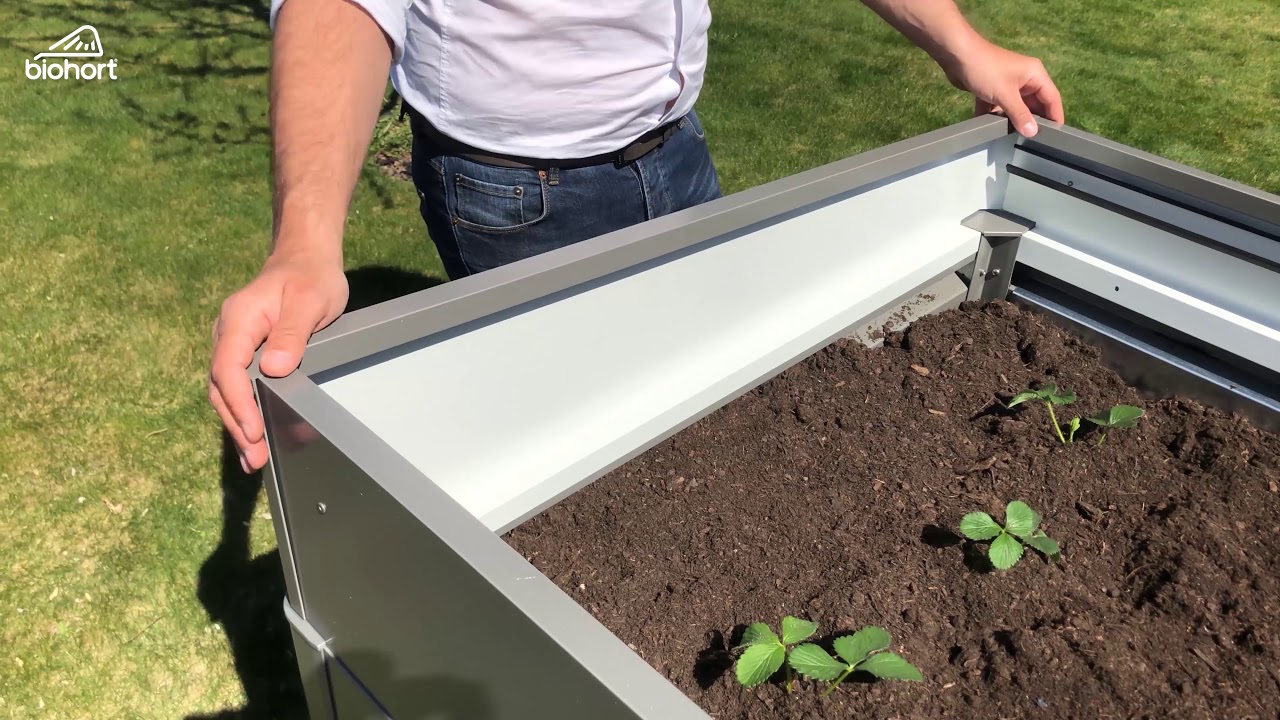 Biohort Frühbeetaufsatz für HochBeet (passend zu Größe 2x1)