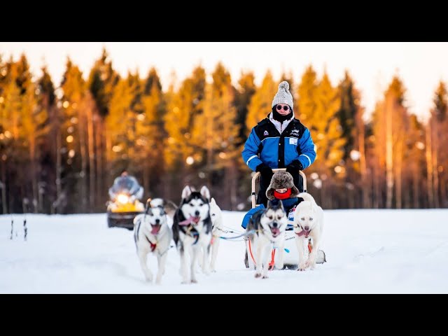 Vorschaubild Youtube-Video