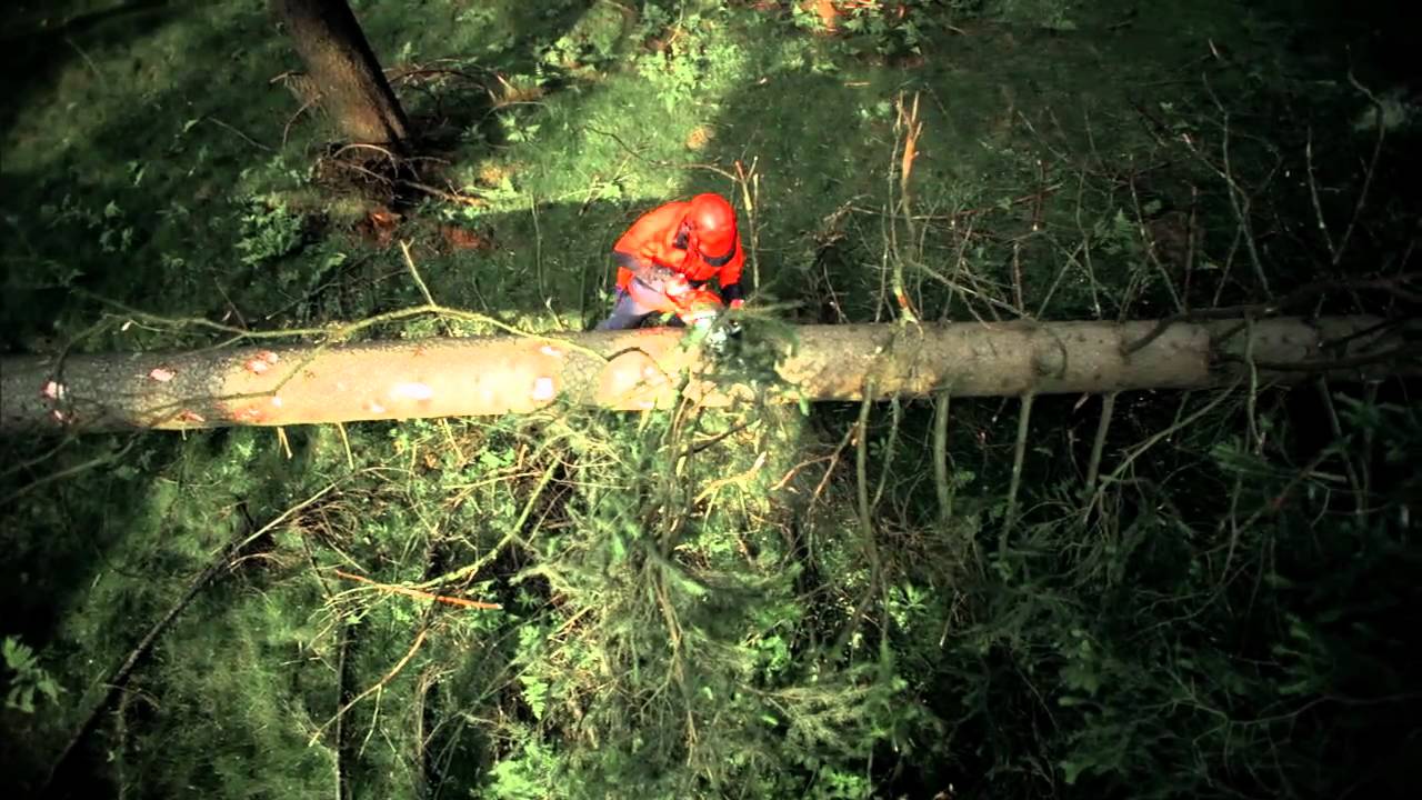 Husqvarna Motorsäge Elektro-Kettensäge 420EL 16" 